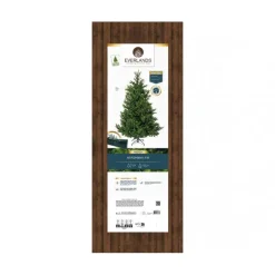Albero di Natale Nordmann h210Ø150cm PE+PVC