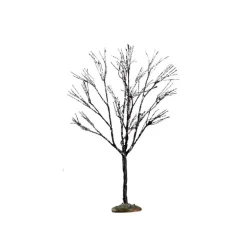 Butternut Tree Small Cod. 64097