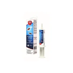 Fastion Gel scarafaggi 20 g SBM