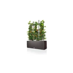 Graticcio per Fioriera Trio 30 Lechuza