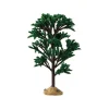 Green Elm Tree Cod. 94541