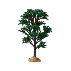 Green Elm Tree Cod. 94541