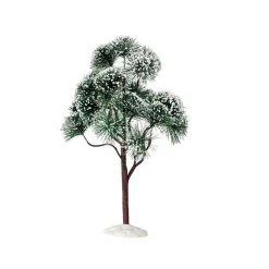 Mountain Pine, Extra Large Cod. 94391