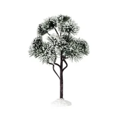 Mountain Pine Large Cod. 74174