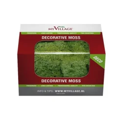 Muschio Lichene Verde 50 gr