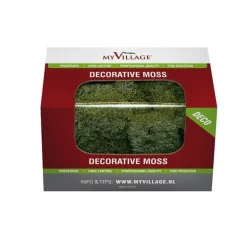Muschio Lichene Verde Scuro 50 gr