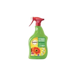 Olio di Soia SBM