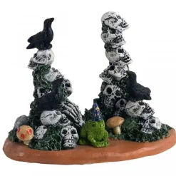 Skull Cairns Cod. 14830
