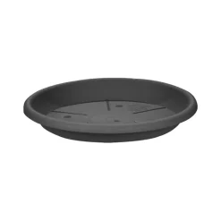 Sottovaso Eolo