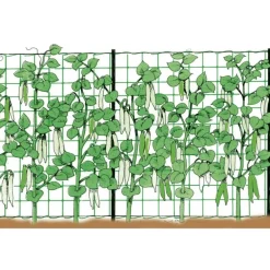 Stocker Rete rampicante 2 x 25 m