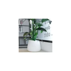 Vaso Bubble Campana