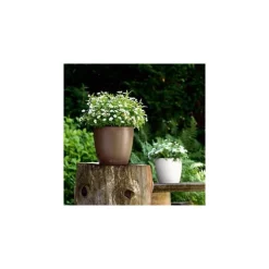 Vaso Classico Color 21 Lechuza Set Completo