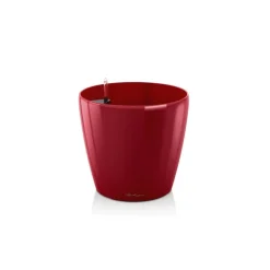 Vaso Classico Premium 60 Lechuza Set Completo