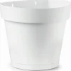Vaso Cleo a Muro