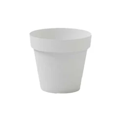 Vaso Cleo Rotondo