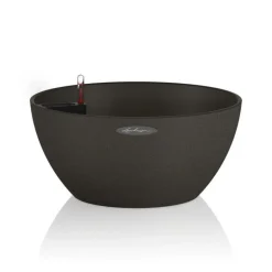 Vaso Cubeto 30 Lechuza Set Completo