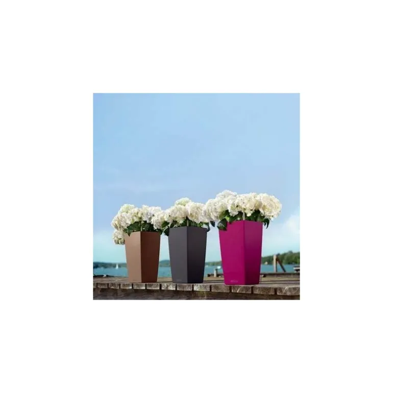 Vaso Cubico Color 30 Lechuza Set Completo