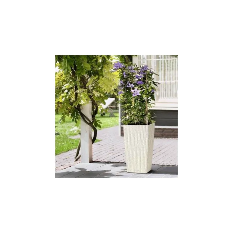 Vaso Cubico Cottage 40 Lechuza Set Completo