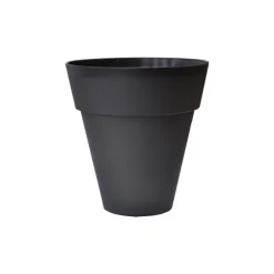 Vaso Dallas Conico
