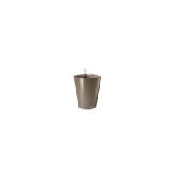 Vaso Deltini Lechuza Set Completo
