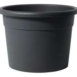 Vaso Diana