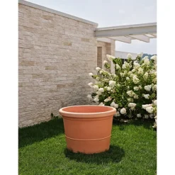 Vaso Eos