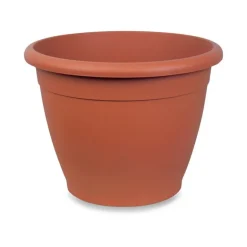 Vaso Naxos