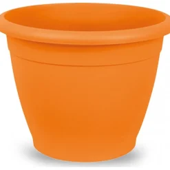 Vaso Naxos