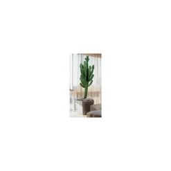 Vaso Quadro Premium 50 Lechuza Set Completo