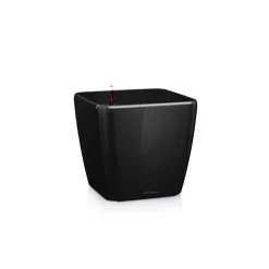 Vaso Quadro Premium 43 Lechuza Set Completo