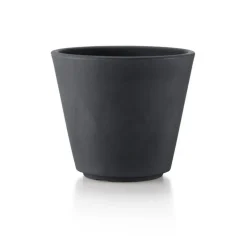 Vaso Ribeira