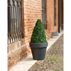 Vaso Standard One